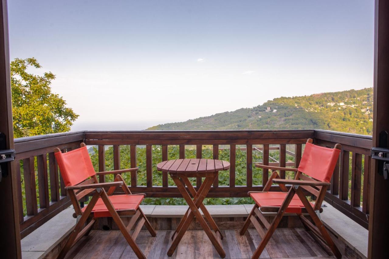 Вилла Zoes House Makrirrakhi Экстерьер фото